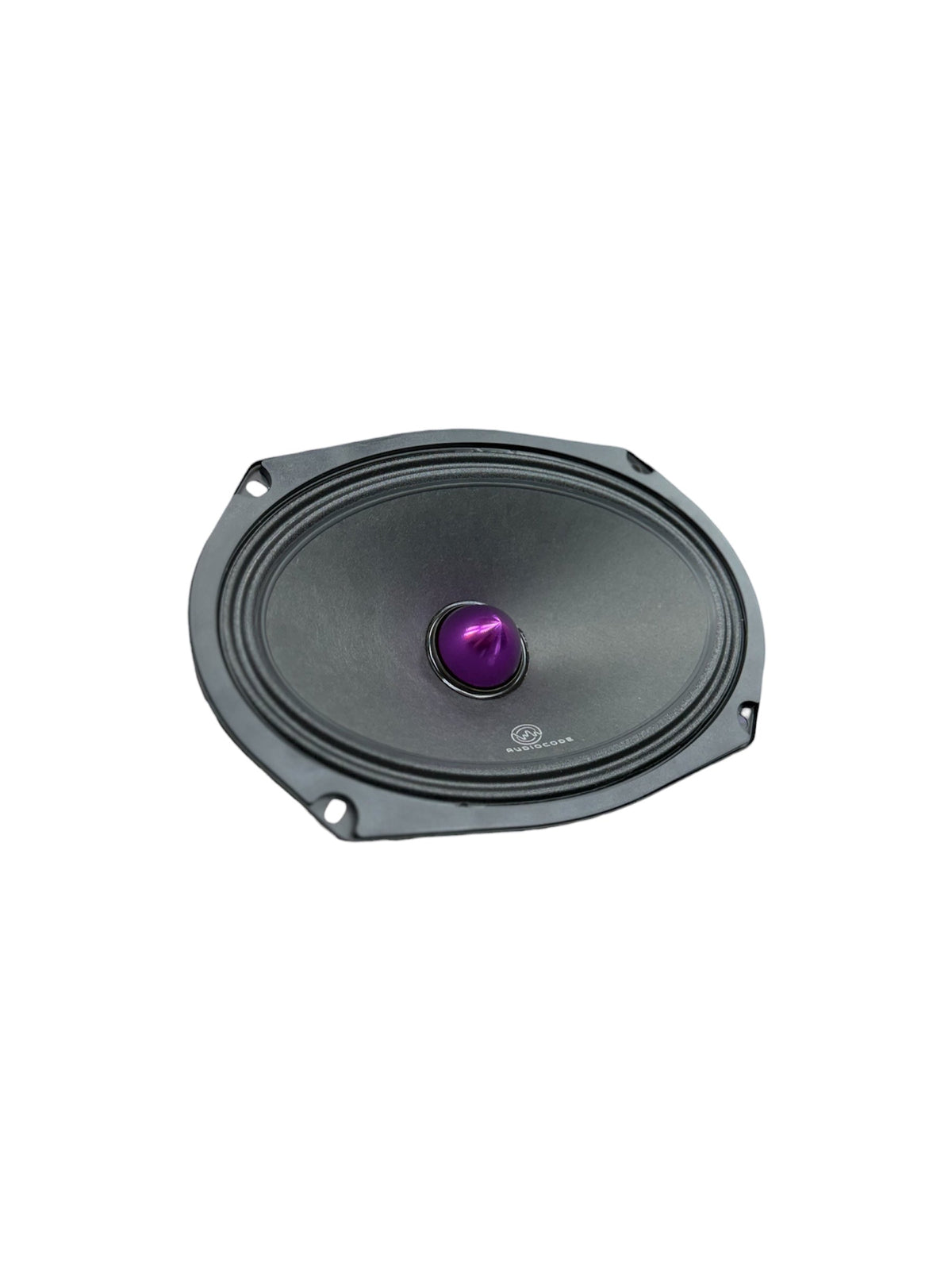 AXC AXC-ZRO69 Midrange Loudspeaker