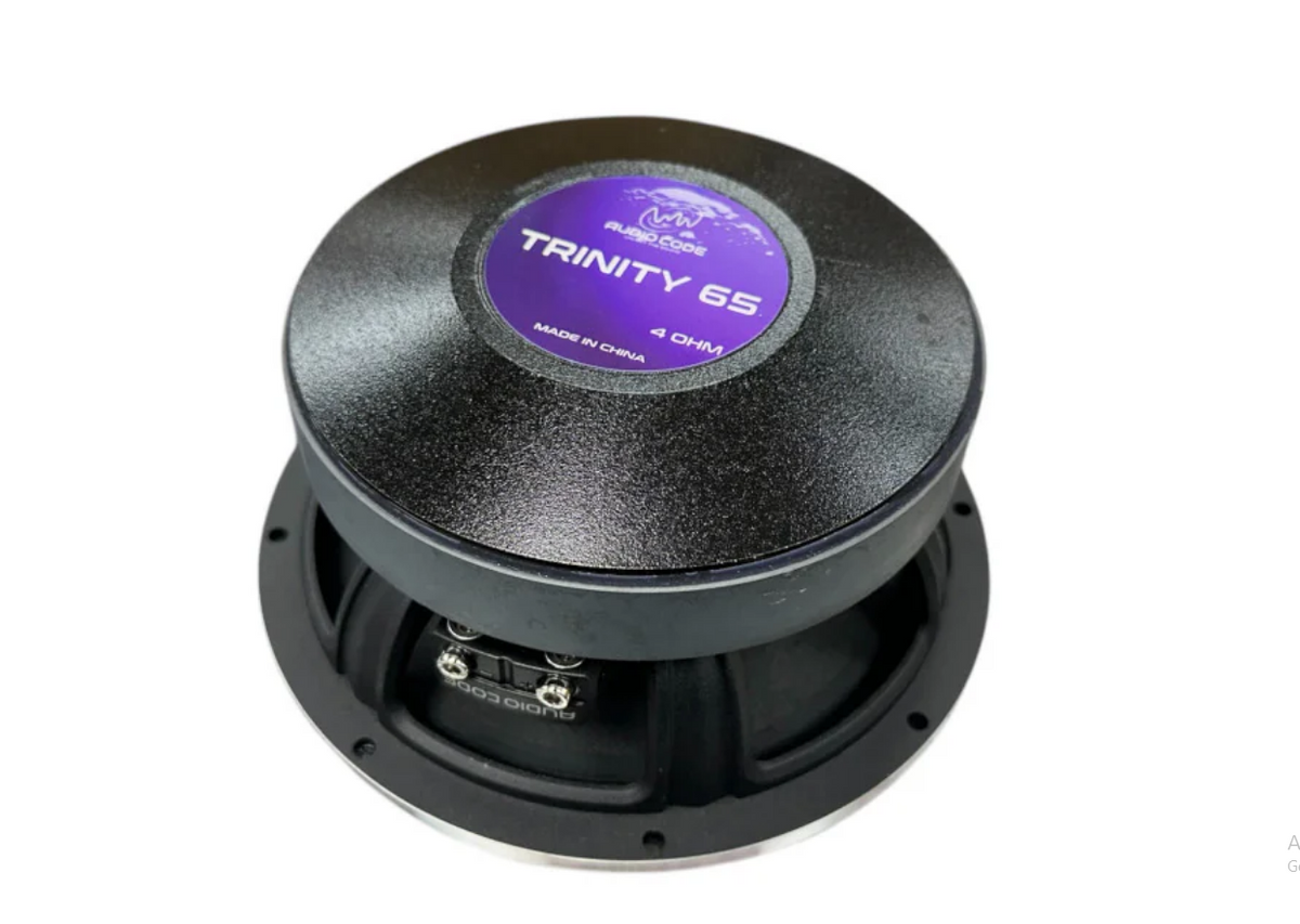 AUDIOXTREMECODE MIDRANGE/TWEETERS