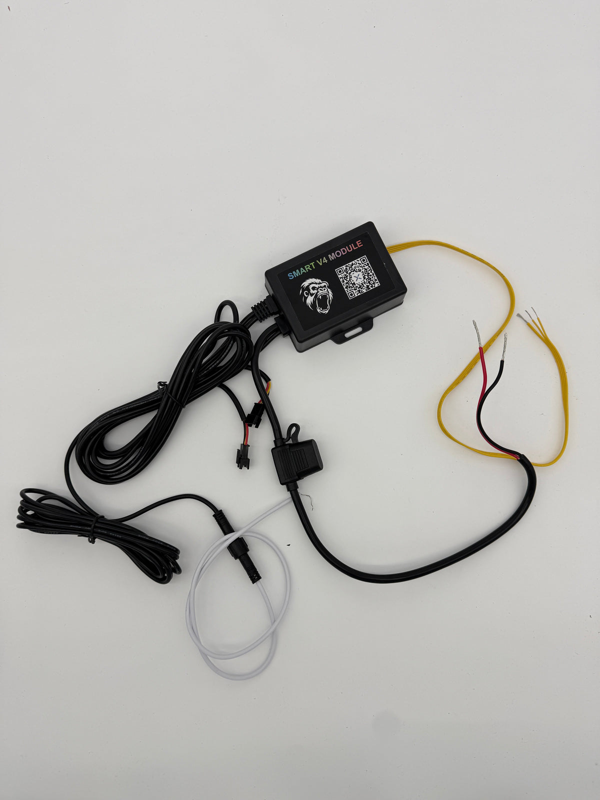 MODULE KIT