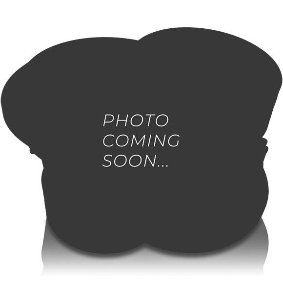 Used Nightshade NS-Series NS5 12" 3000W Subwoofer NS v.5